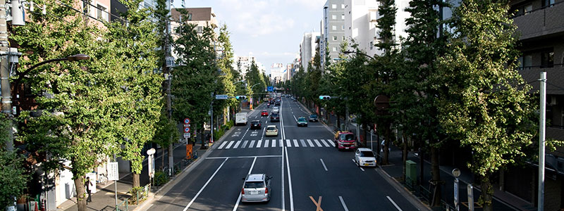 道路際の看板に思う